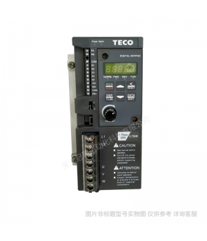 東元TECO臺安S310-201-H1D變頻器0.75KW單相220V 現貨